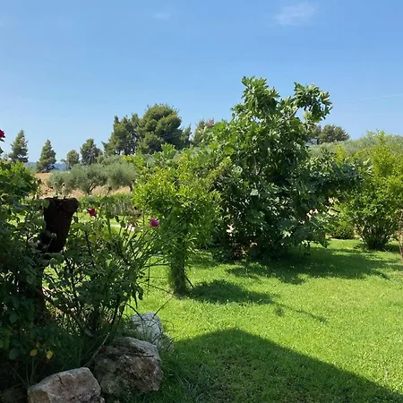Vakantiehuis Sunny Hill